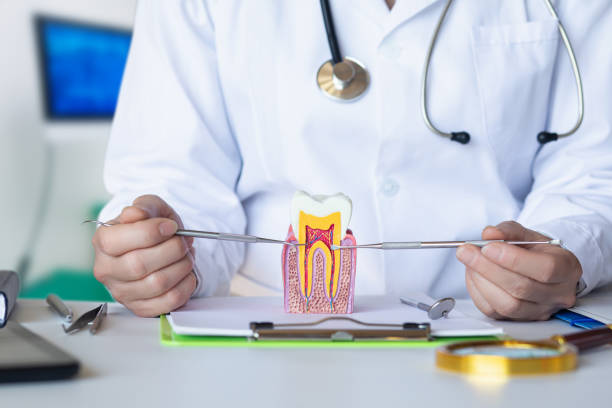 Best Emergency TMJ Treatment in Lauderhill, FL